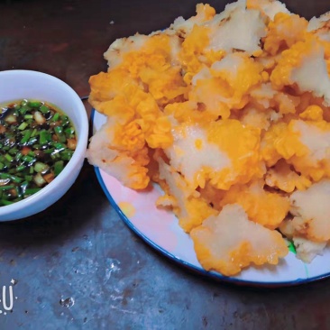 金耳菌种菌包西安峡县科达菌业有限公司