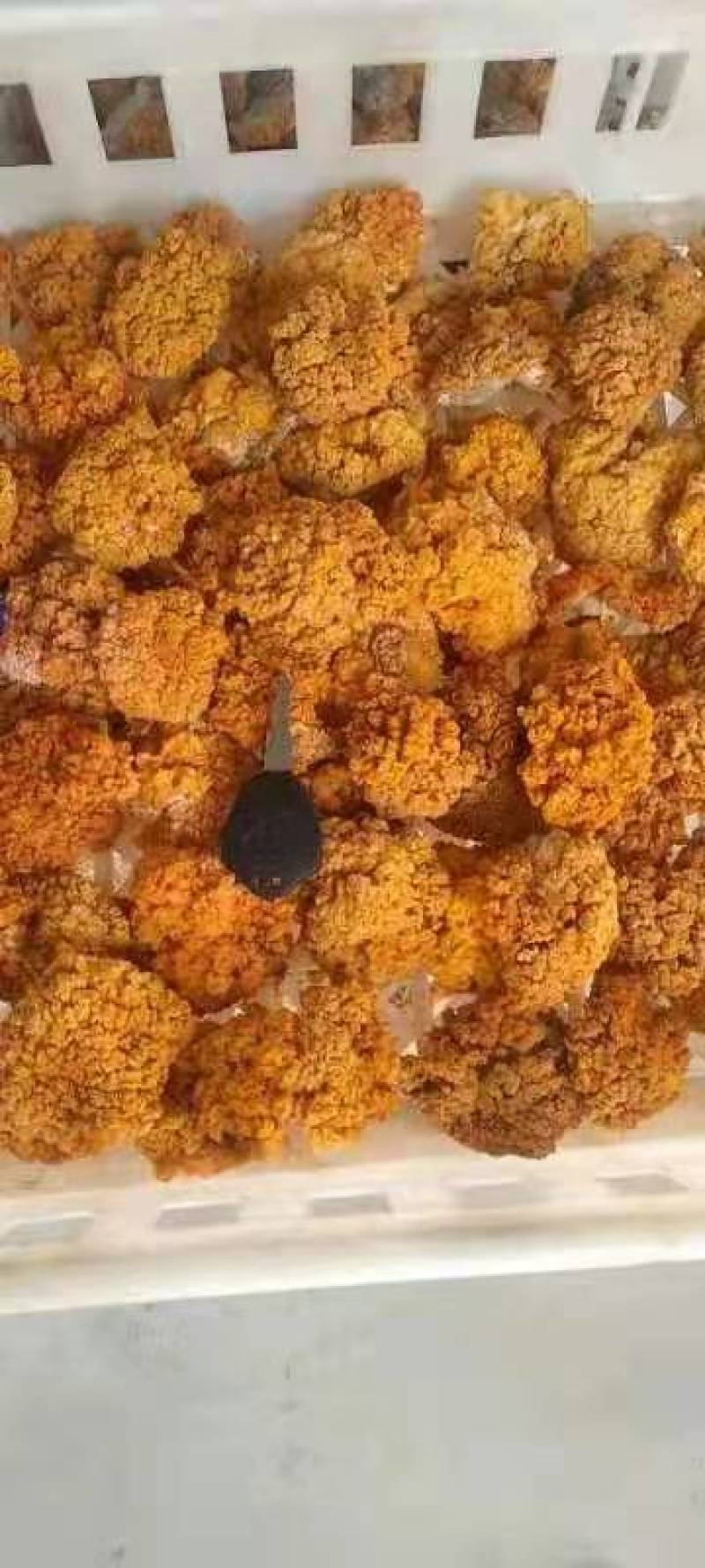 金耳菌种菌包西安峡县科达菌业有限公司