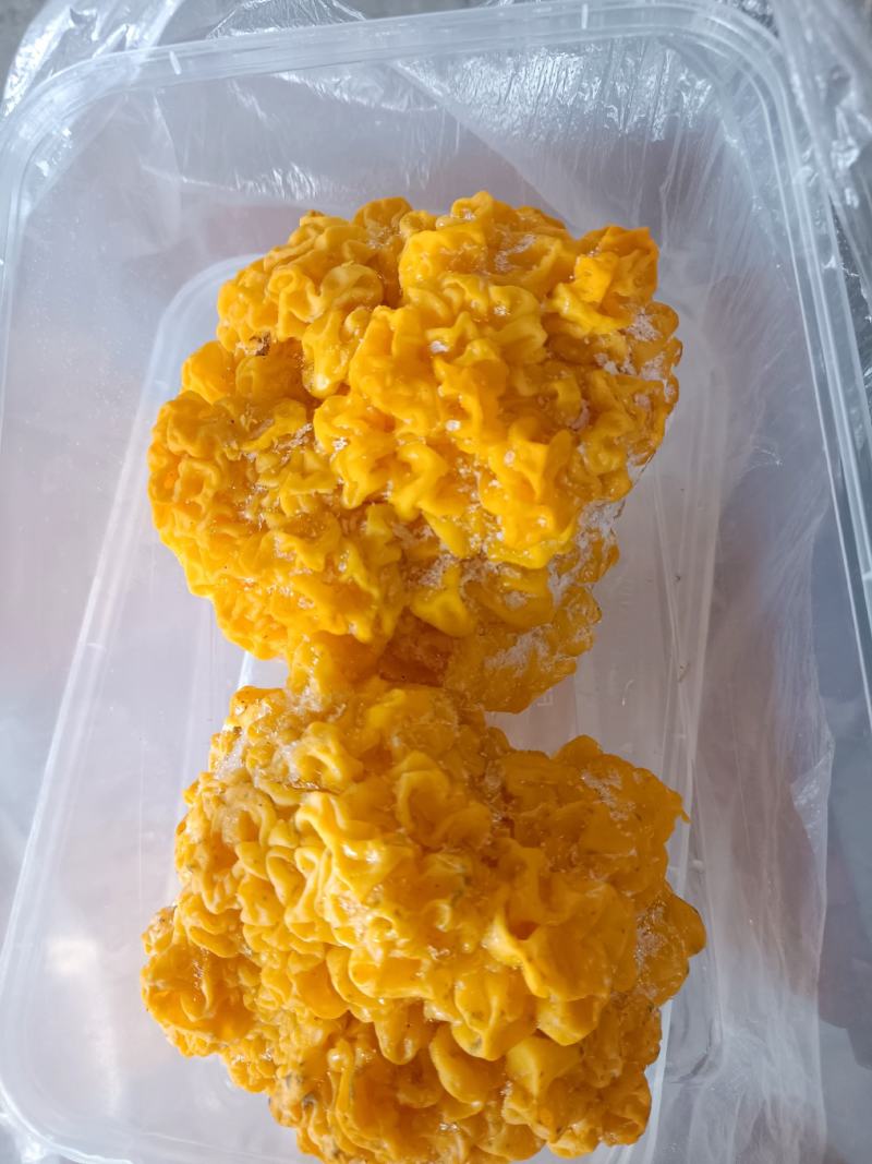 金耳菌种菌包西安峡县科达菌业有限公司