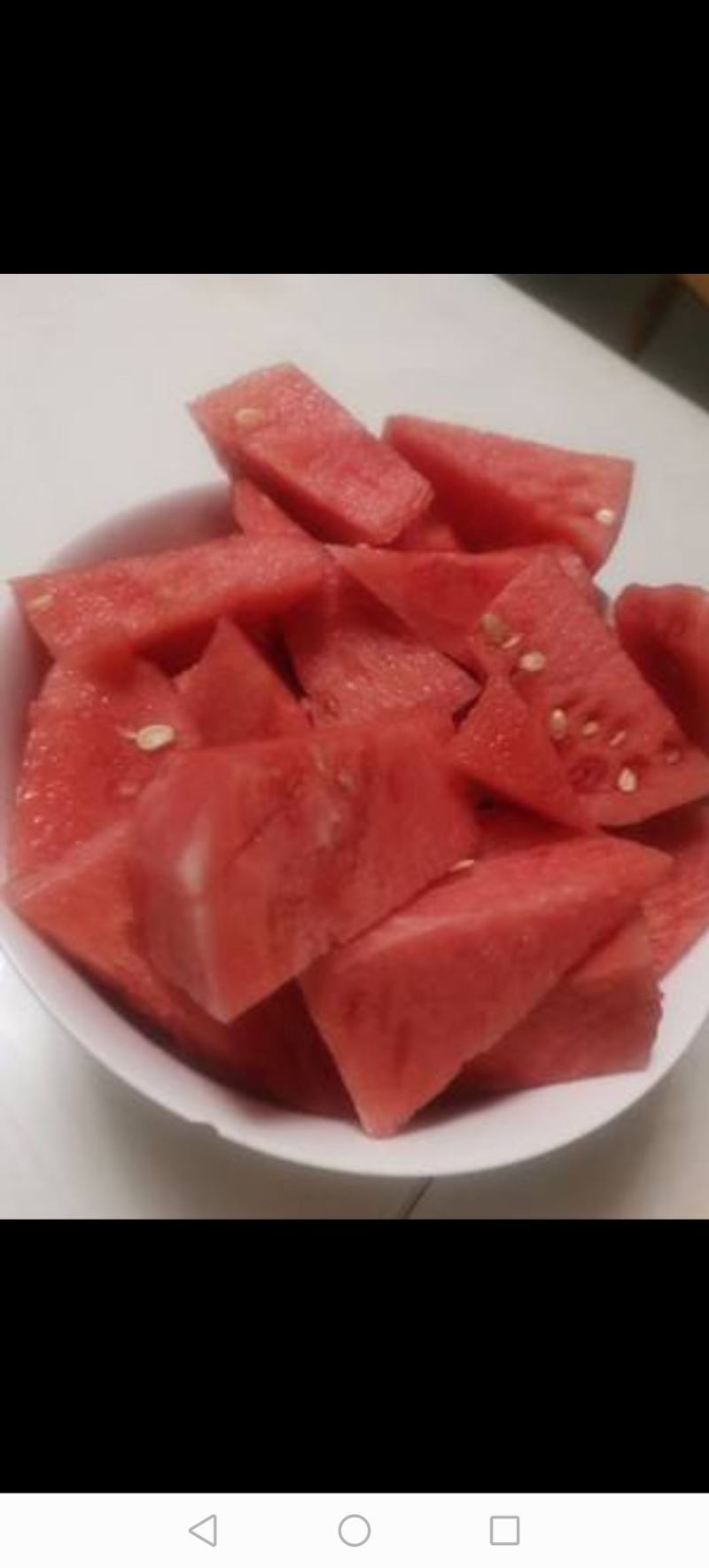 广东美都西瓜大量上市中