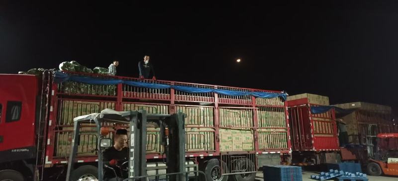 【热卖】黄皮尖椒青皮尖椒虎皮尖椒鲜辣椒福建大棚辣椒