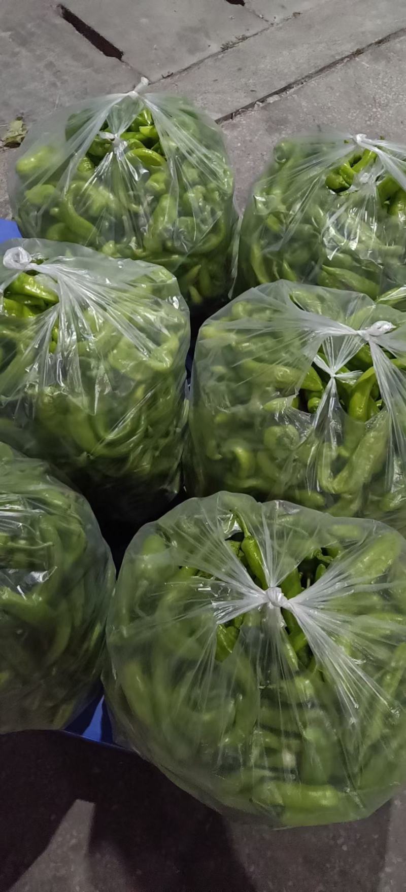 二级鲜辣椒，各类次椒，食堂饭堂专供，电商专供，辣椒切片