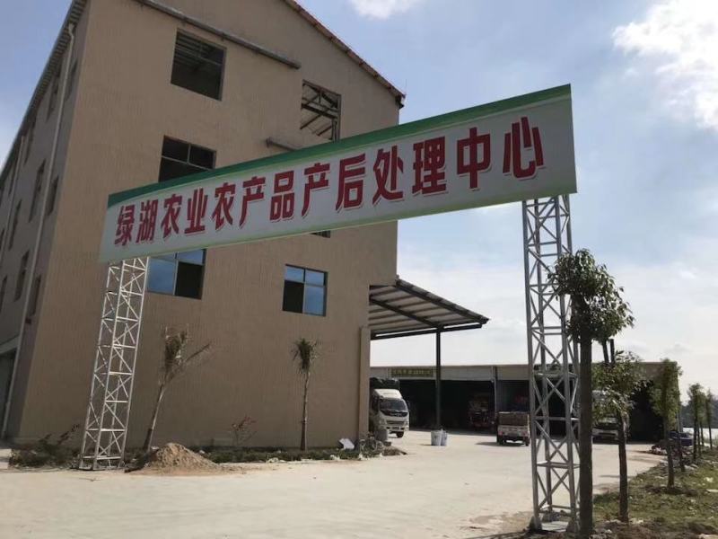 福建大棚太空椒，精品太空椒，圆椒大量供应，一手货源