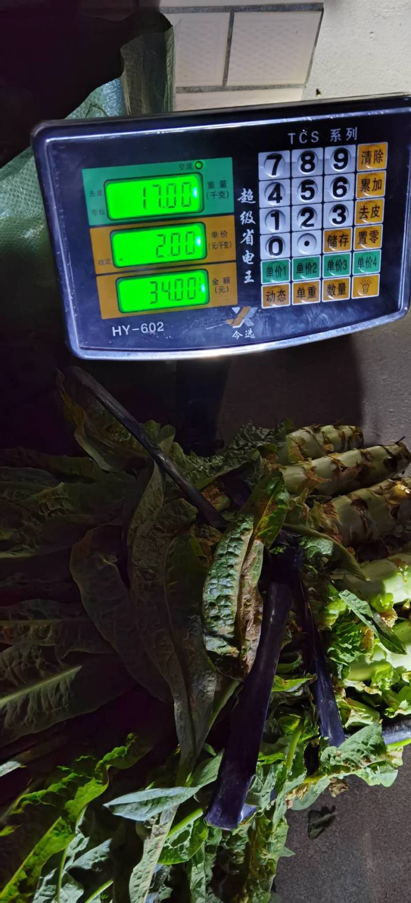 蔬菜礼包，崇明本地蔬菜，新鲜蔬菜上海蔬菜礼包