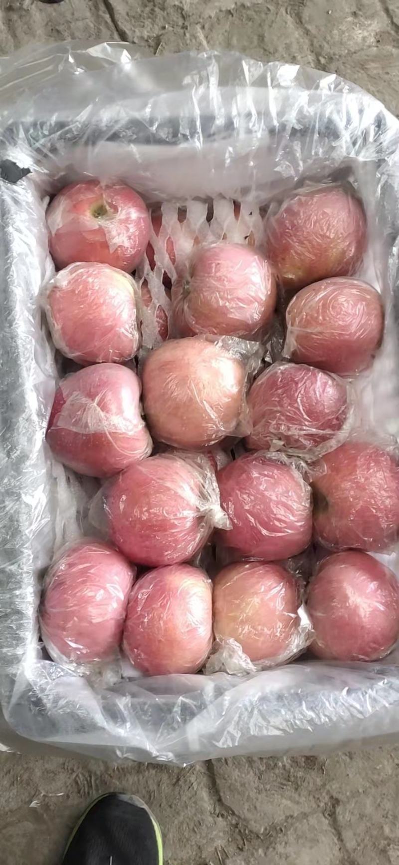 红富士苹果，果面干净，颜色好，口感脆甜，货源充足