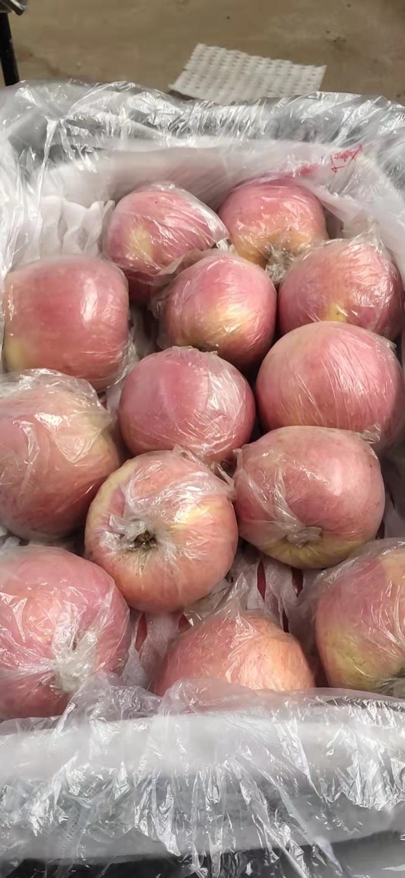 红富士苹果，果面干净，颜色好，口感脆甜，货源充足