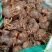 蜘蛛兰头绿化植物2一9分头