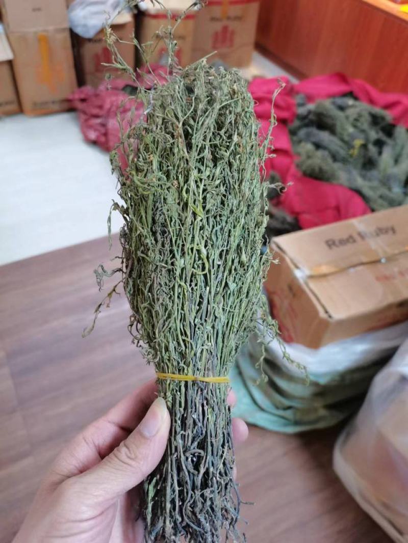 独脚金