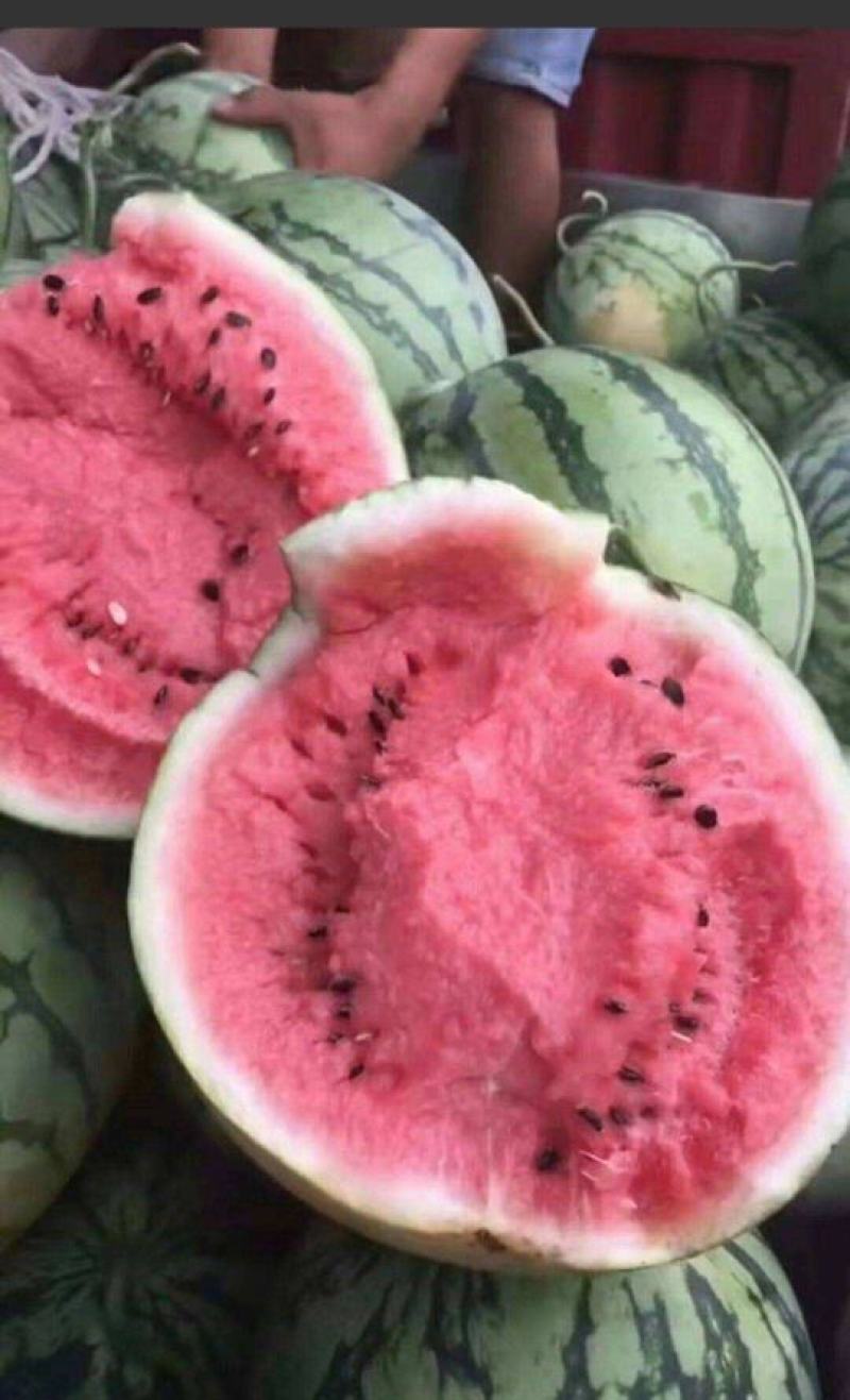 夏邑西瓜，河南西瓜，安徽西瓜，砀山西瓜