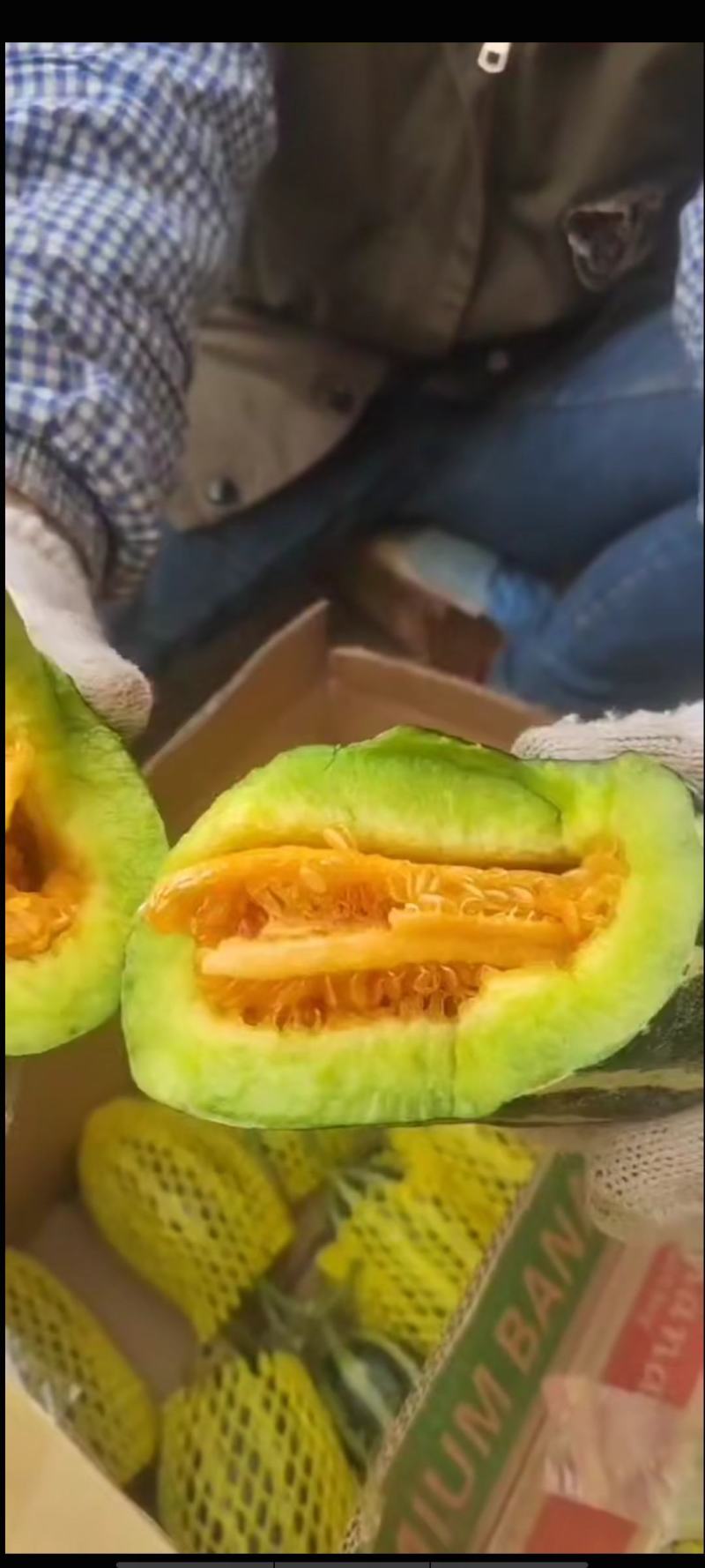 羊角蜜甜瓜基地大量供货，货源充足，代发全国各地市场！
