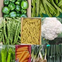 蔬菜礼包8-10菜一箱10-13斤可定制基地直发便宜