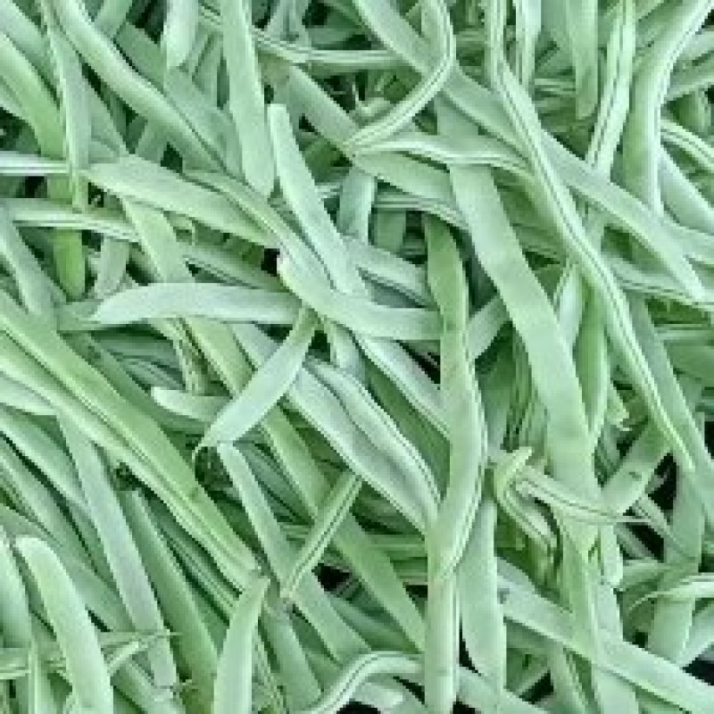 山东单县，芸豆，产地直供，货源充足，优等蔬菜，对接全国
