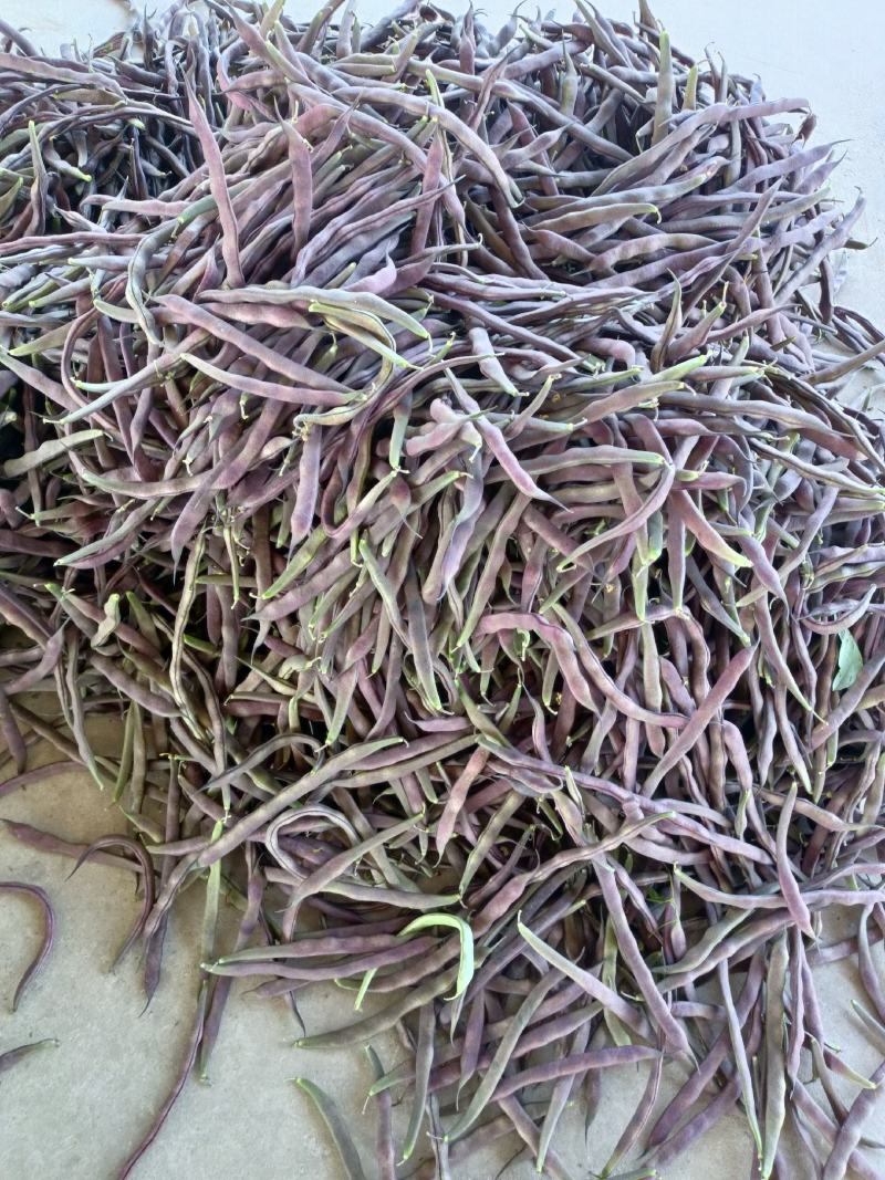 山东单县，芸豆，产地直供，货源充足，优等蔬菜，对接全国