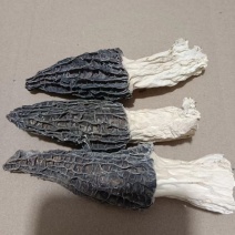 羊肚菌干品大量有货