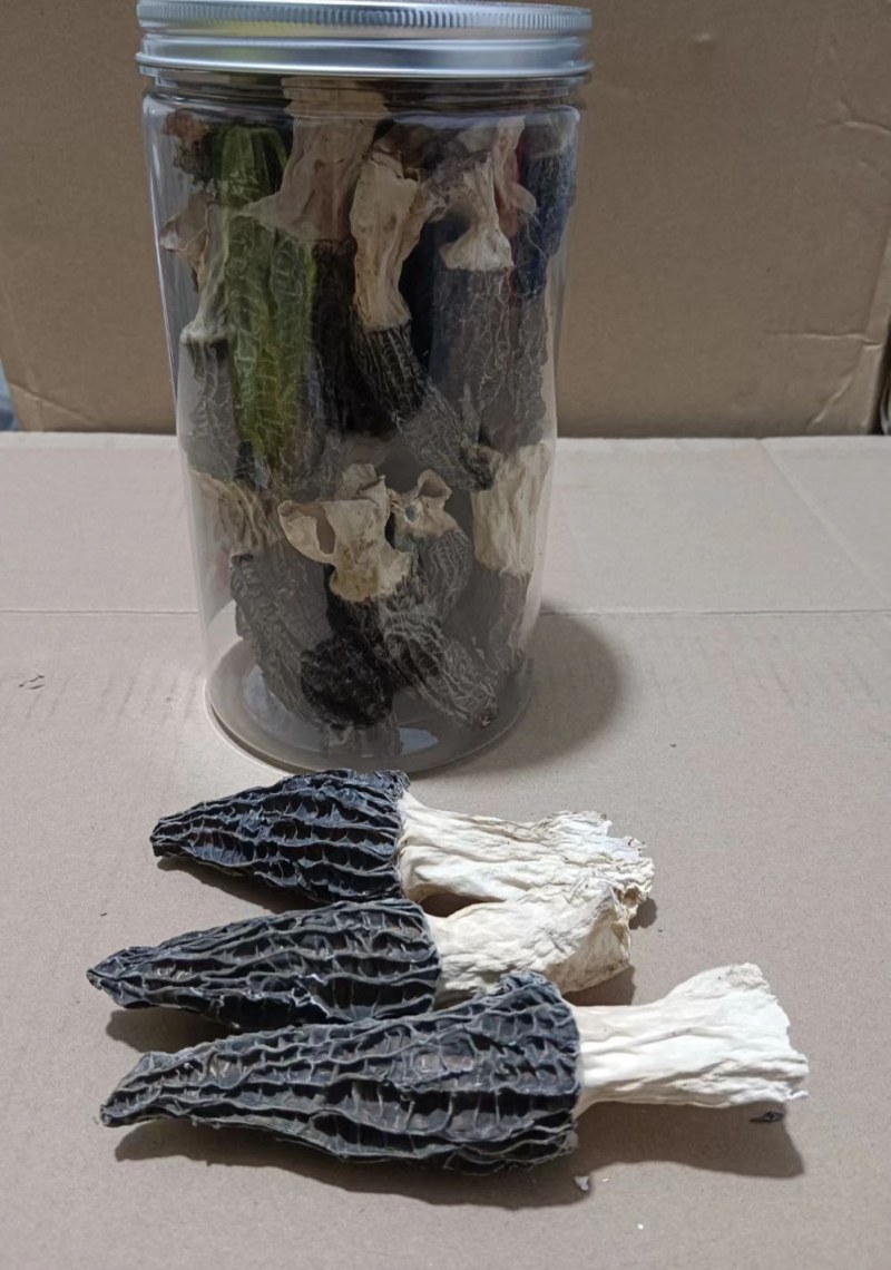 羊肚菌干品大量有货