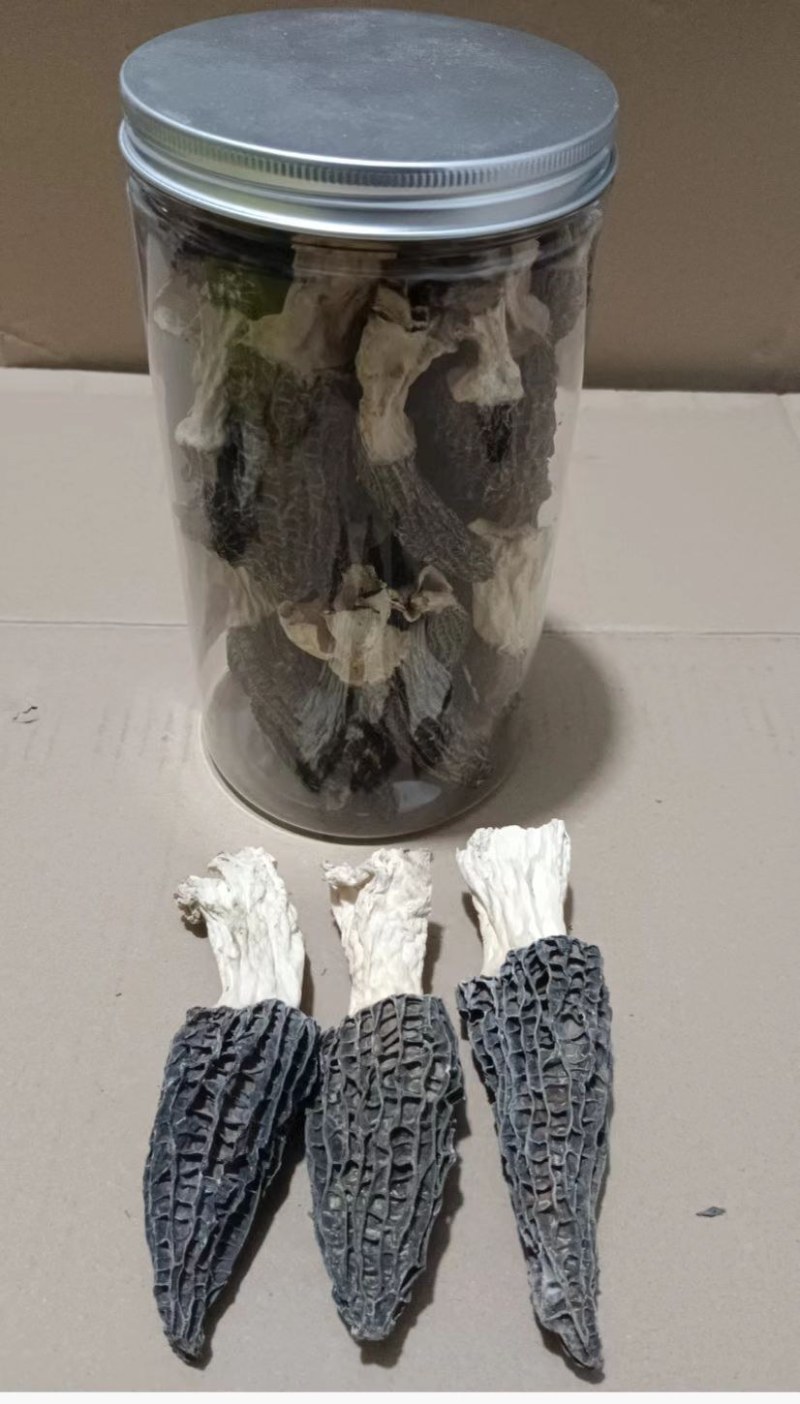 羊肚菌干品大量有货