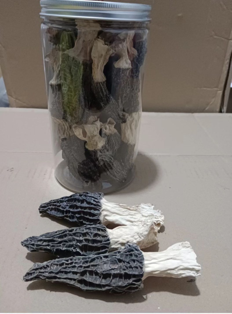 羊肚菌干品大量有货