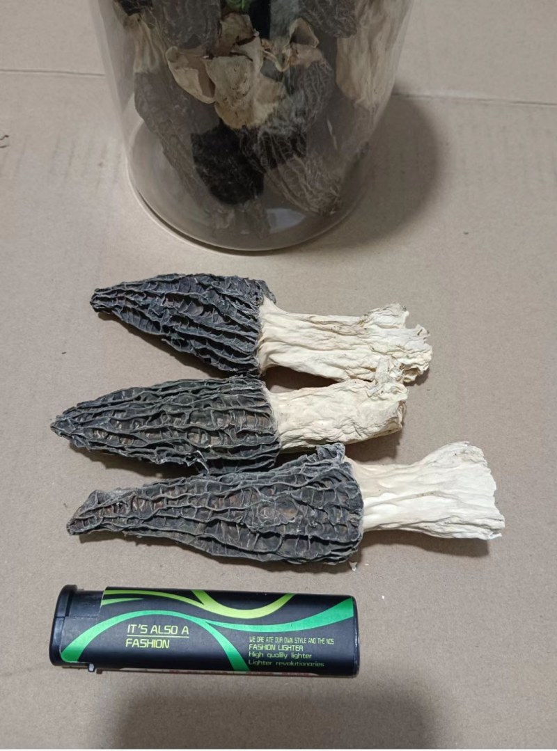 羊肚菌干品大量有货