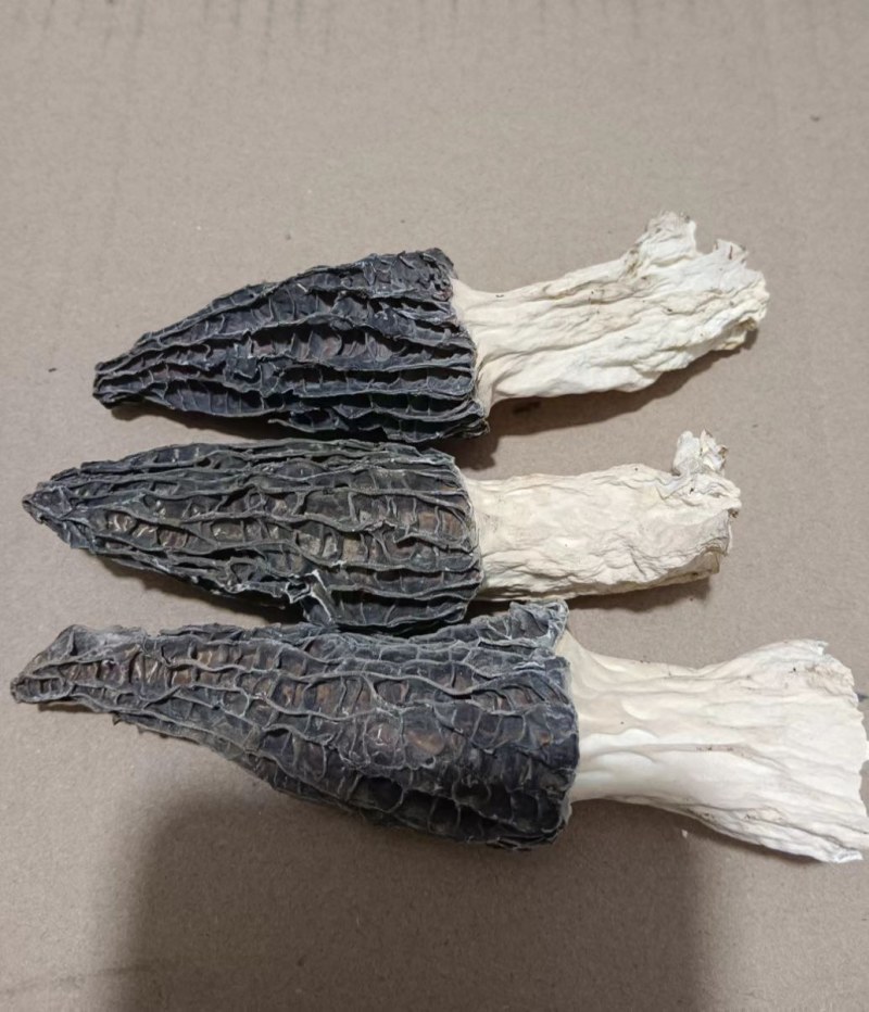 羊肚菌干品大量有货