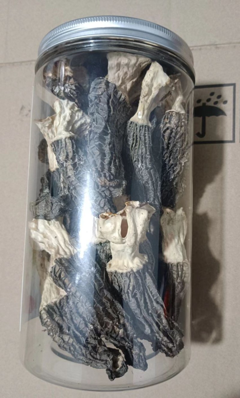 羊肚菌干品大量有货