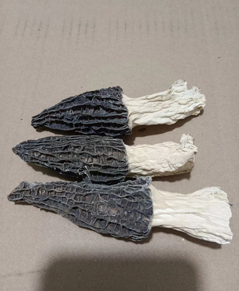 羊肚菌干品大量有货
