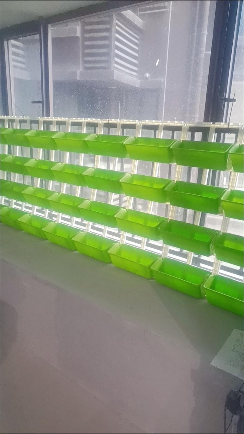 阳台种菜盆架子蔬菜草莓立体种植盆多层栏杆悬挂花盆架组合长