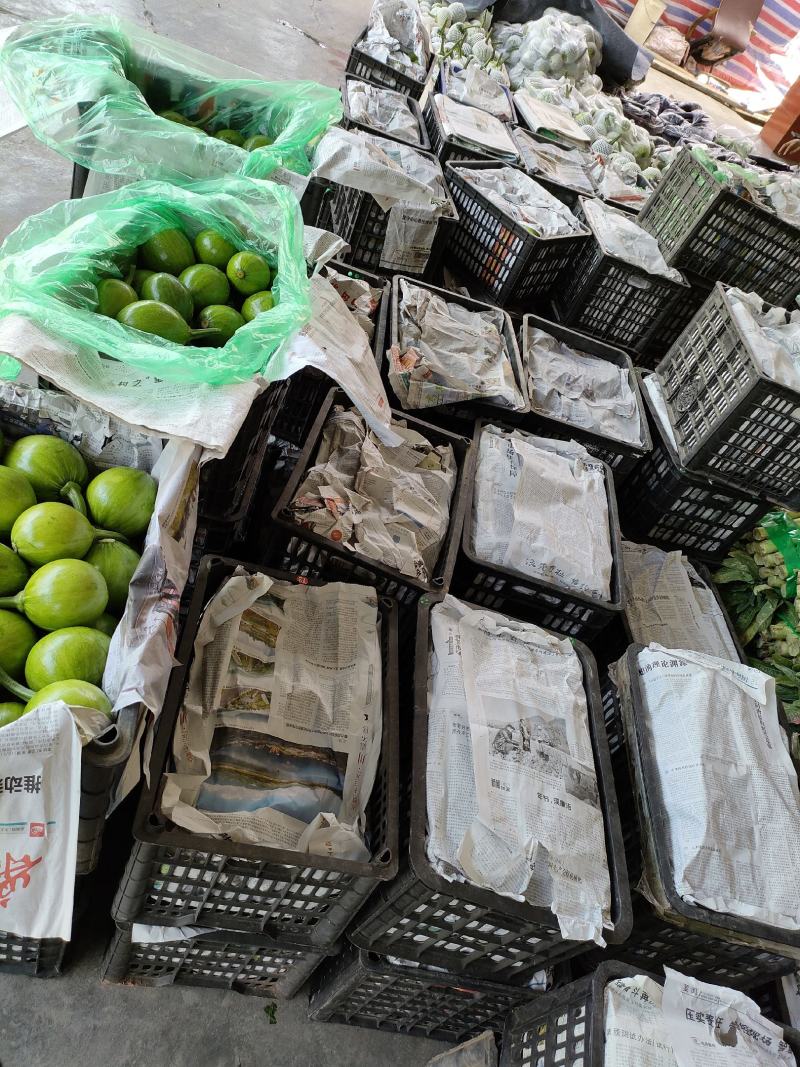青南瓜（新鲜青南瓜现货供应）