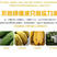 广西小米蕉5/9斤热带水果香蕉香甜天然