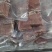 黑椒牛仔骨牛仔骨黑椒牛仔骨10kg一件