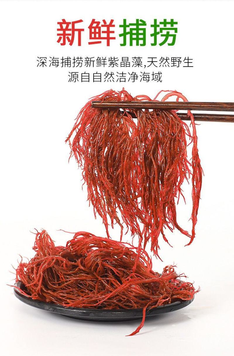 【5斤/2斤海草龙须菜】龙须菜海草海石花鹿角菜海藻菜丝凉