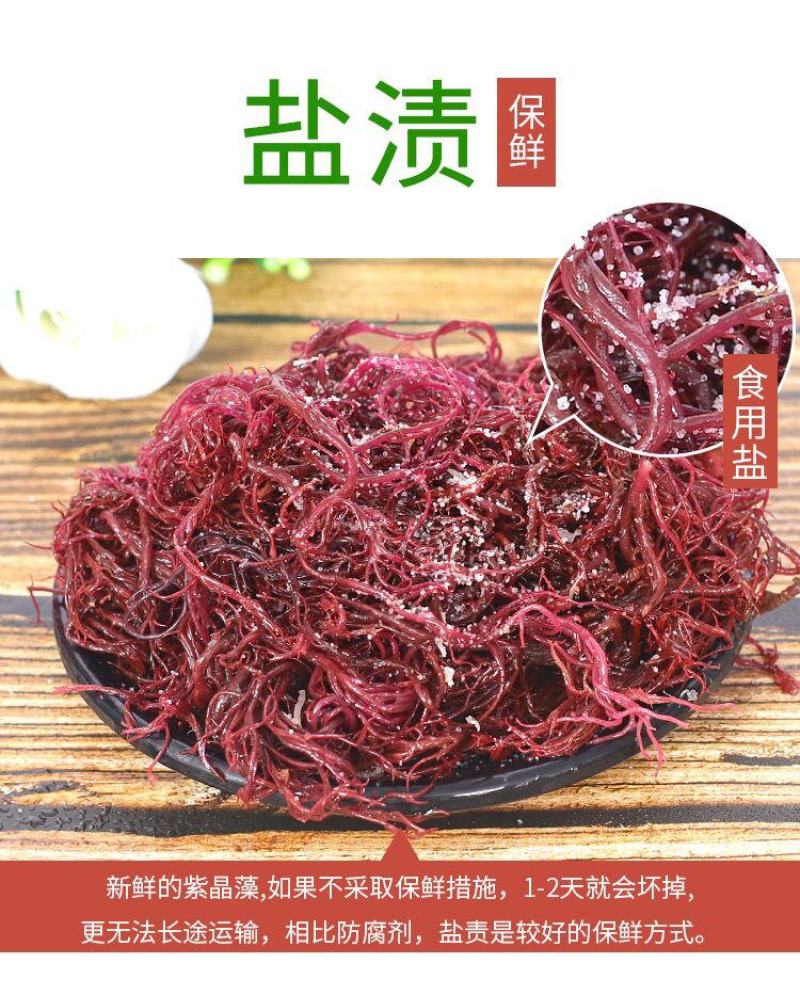 【5斤/2斤海草龙须菜】龙须菜海草海石花鹿角菜海藻菜丝凉
