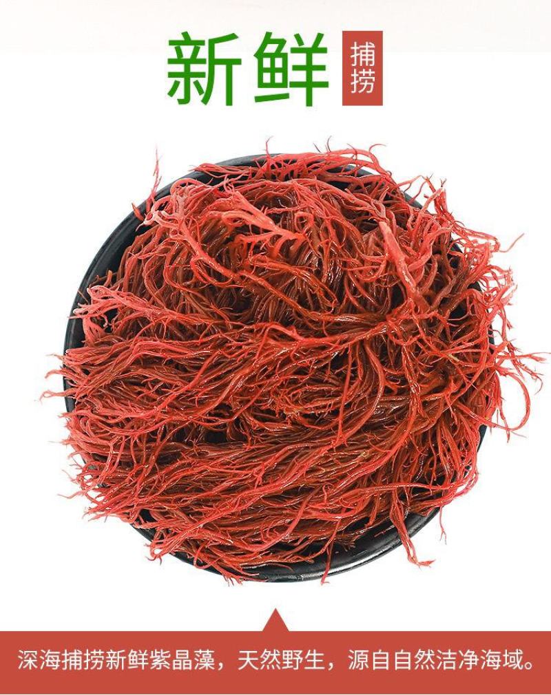 【5斤/2斤海草龙须菜】龙须菜海草海石花鹿角菜海藻菜丝凉