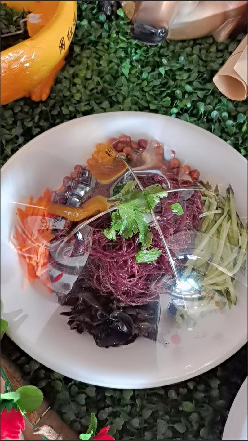 【5斤/2斤海草龙须菜】龙须菜海草海石花鹿角菜海藻菜丝凉
