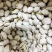 开心果大机开美国开心果伊朗开心果批发电商专用支持一件代发