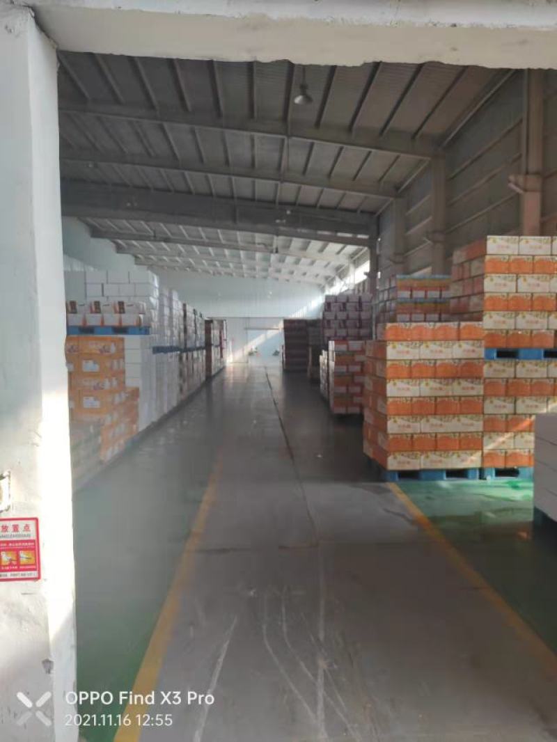 开心果大机开美国开心果伊朗开心果批发电商专用支持一件代发