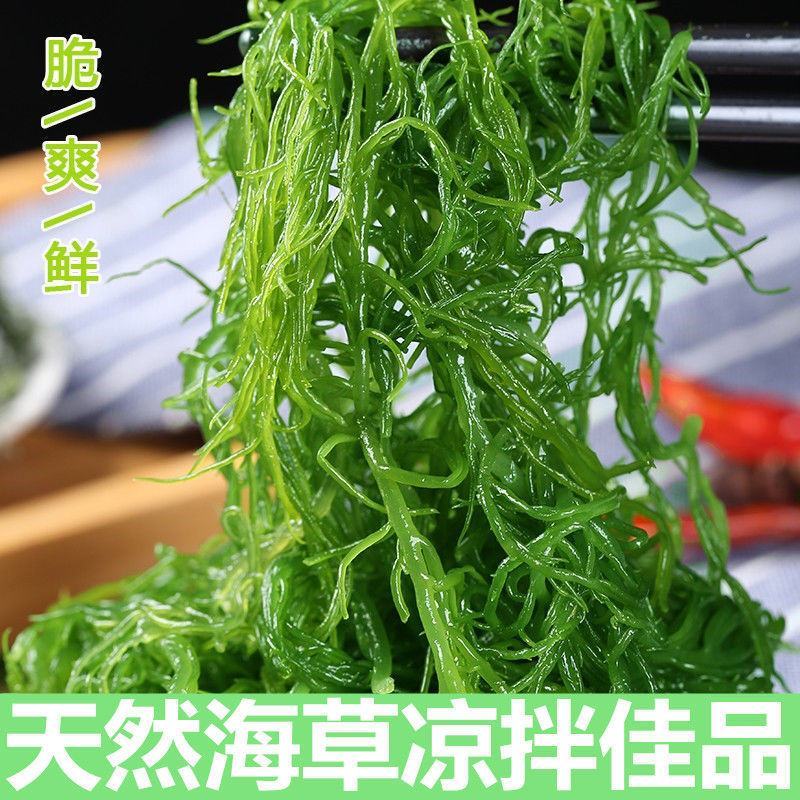 【5斤/2斤海草龙须菜】龙须菜海草海石花鹿角菜海藻菜丝凉