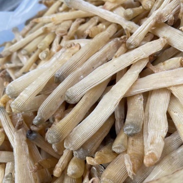 【推荐】广西北部湾天然沙虫干，干净无沙味道好吃香郁