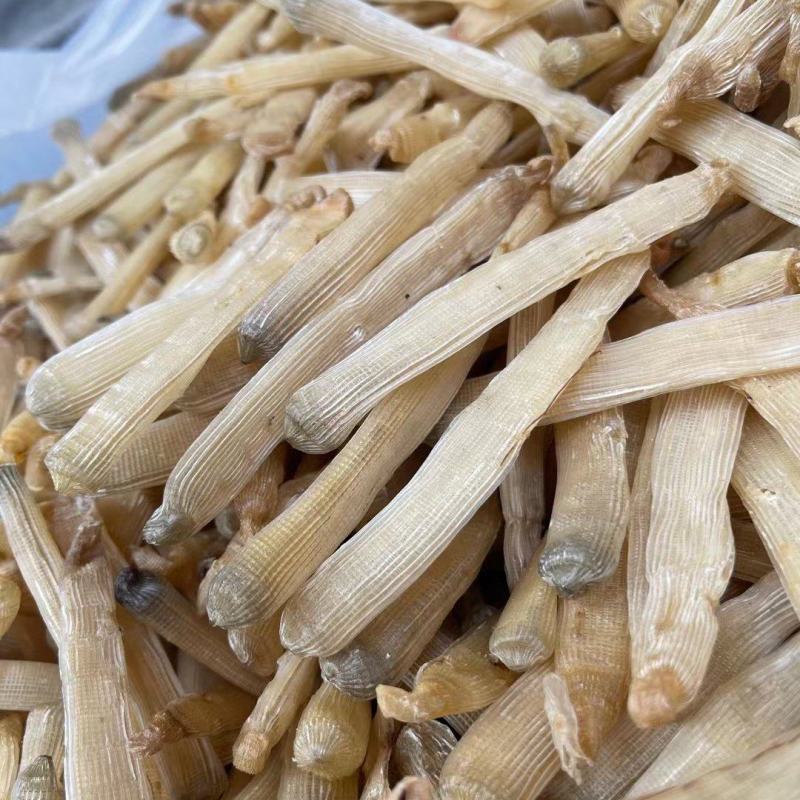 【推荐】广西北部湾天然沙虫干，干净无沙味道好吃香郁