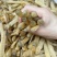 【推荐】广西北部湾天然沙虫干，干净无沙味道好吃香郁