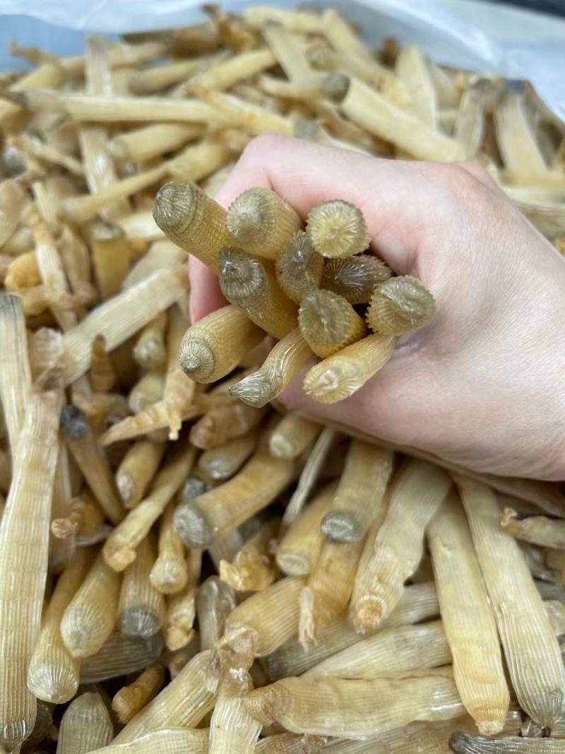 【推荐】广西北部湾天然沙虫干，干净无沙味道好吃香郁