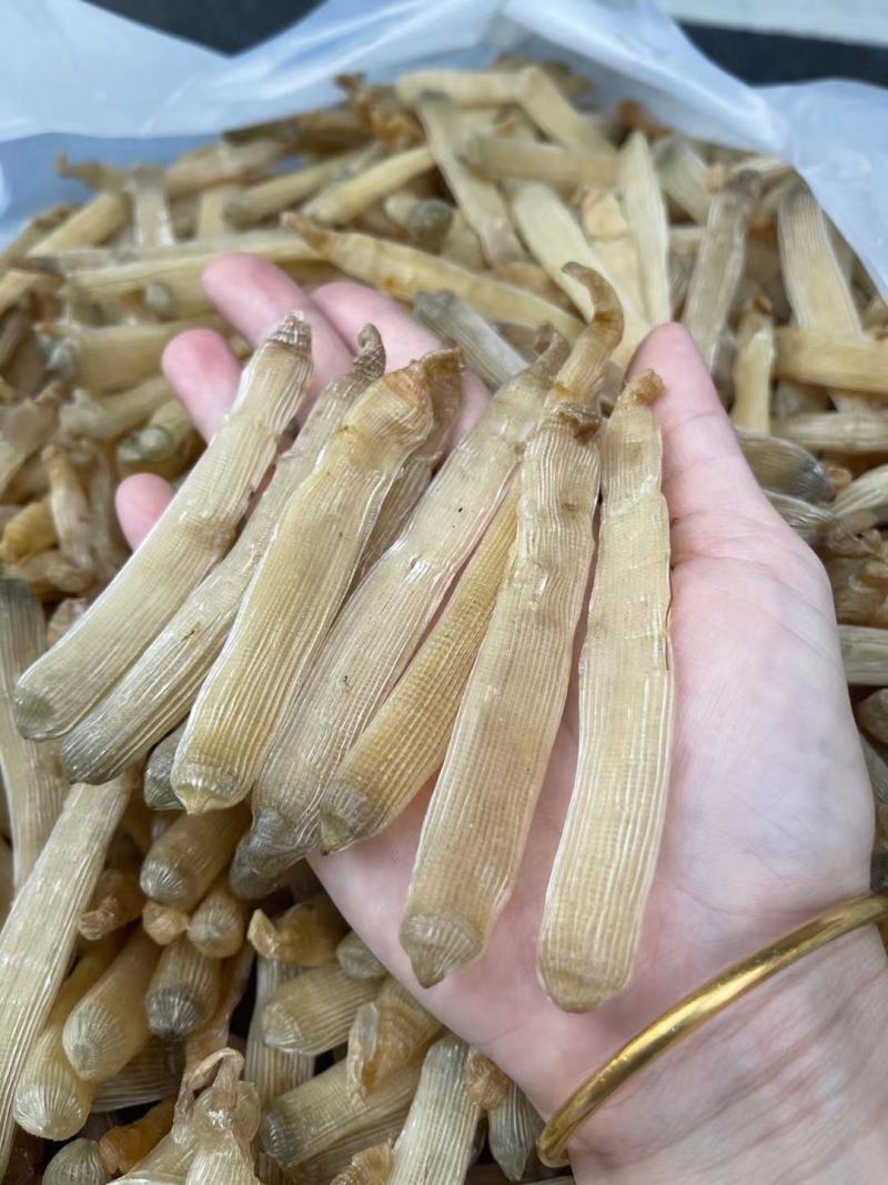 【推荐】广西北部湾天然沙虫干，干净无沙味道好吃香郁