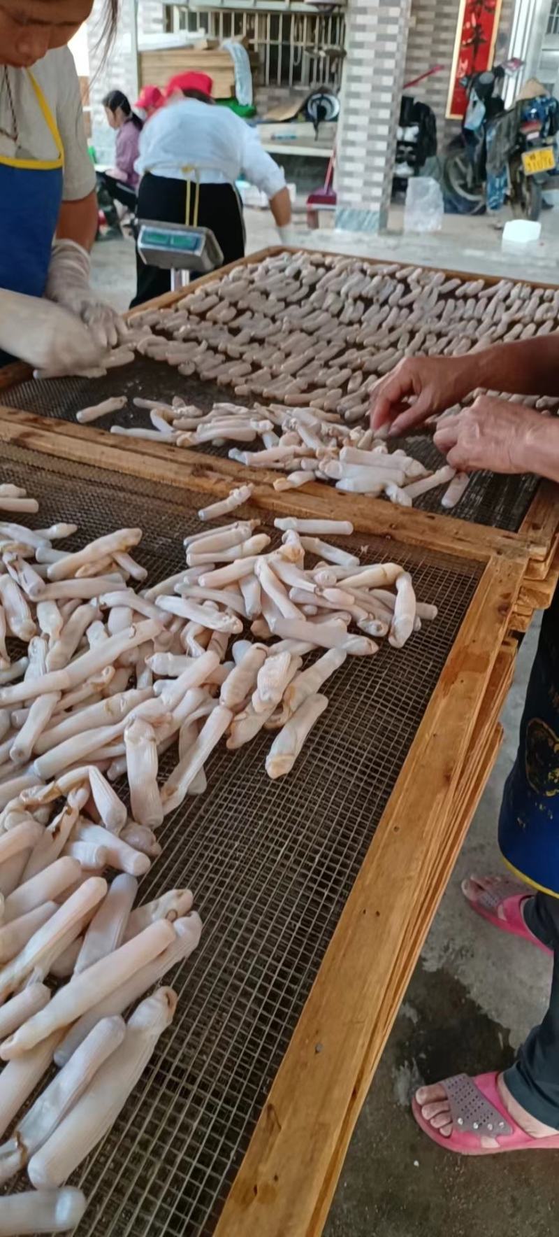 【推荐】广西北部湾天然沙虫干，干净无沙味道好吃香郁