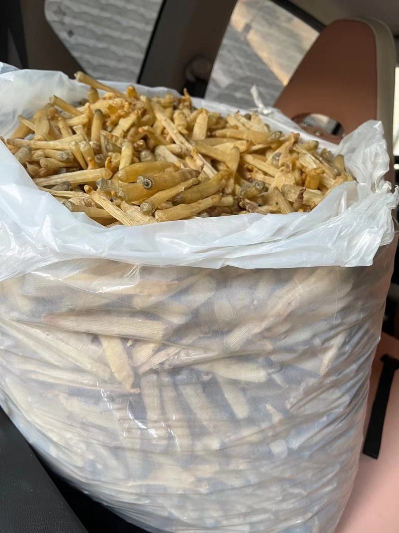【推荐】广西北部湾天然沙虫干，干净无沙味道好吃香郁