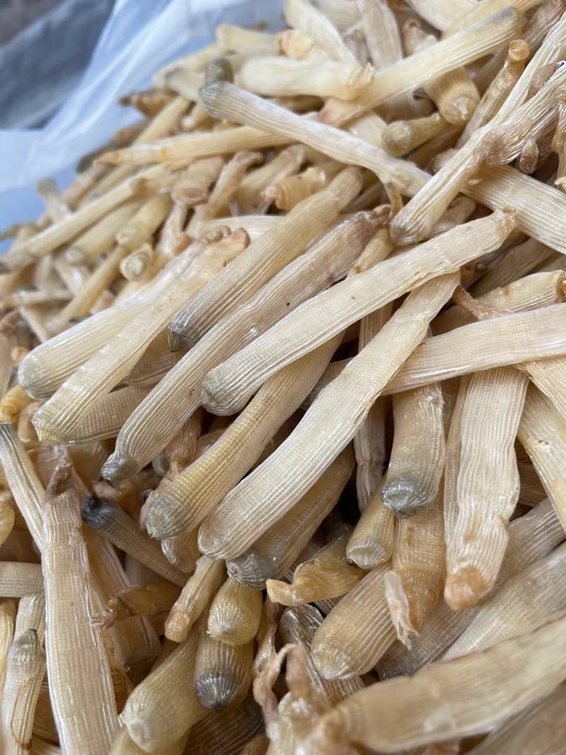 【推荐】广西北部湾天然沙虫干，干净无沙味道好吃香郁