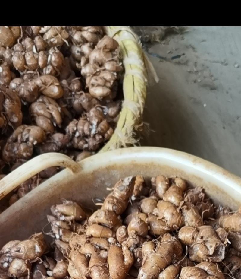 红泥沙姜海南沙姜产地直供全国发货精选红泥排姜统货电商货