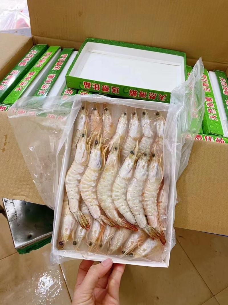 【推荐】广西北部湾天然明虾产地直发品质保证，诚信经营