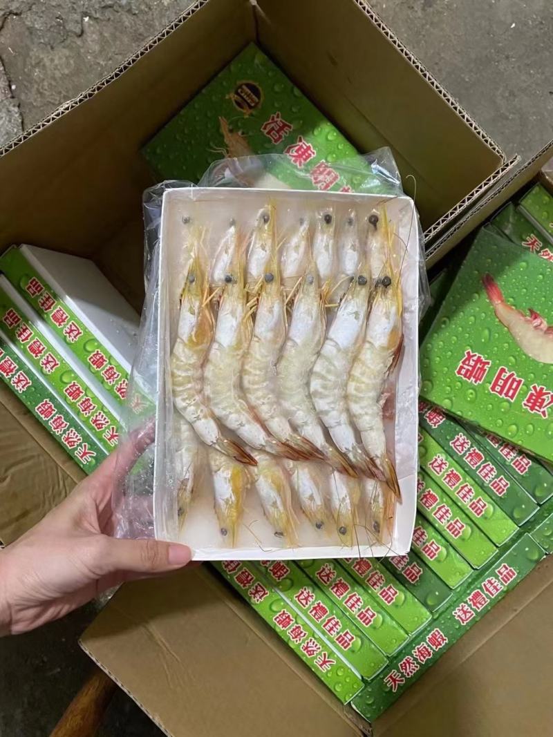 【推荐】广西北部湾天然明虾产地直发品质保证，诚信经营