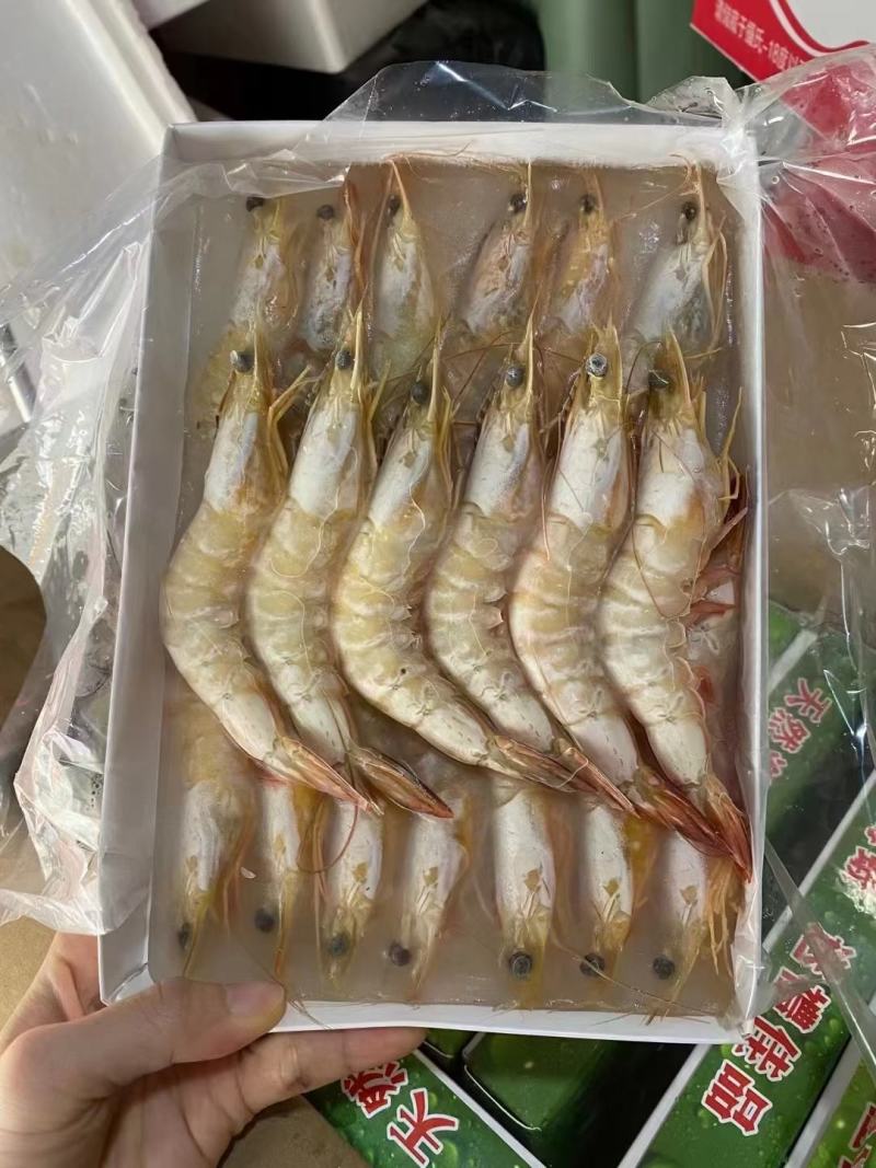 【推荐】广西北部湾天然明虾产地直发品质保证，诚信经营