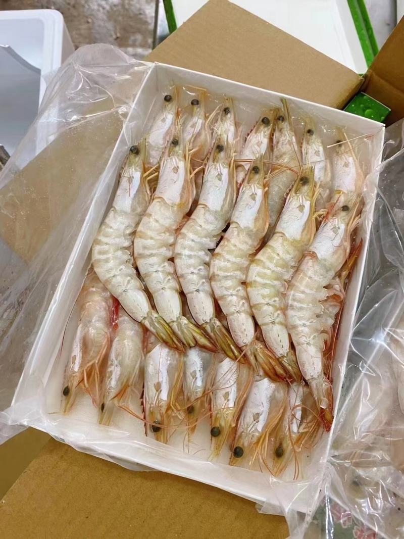 【推荐】广西北部湾天然明虾产地直发品质保证，诚信经营