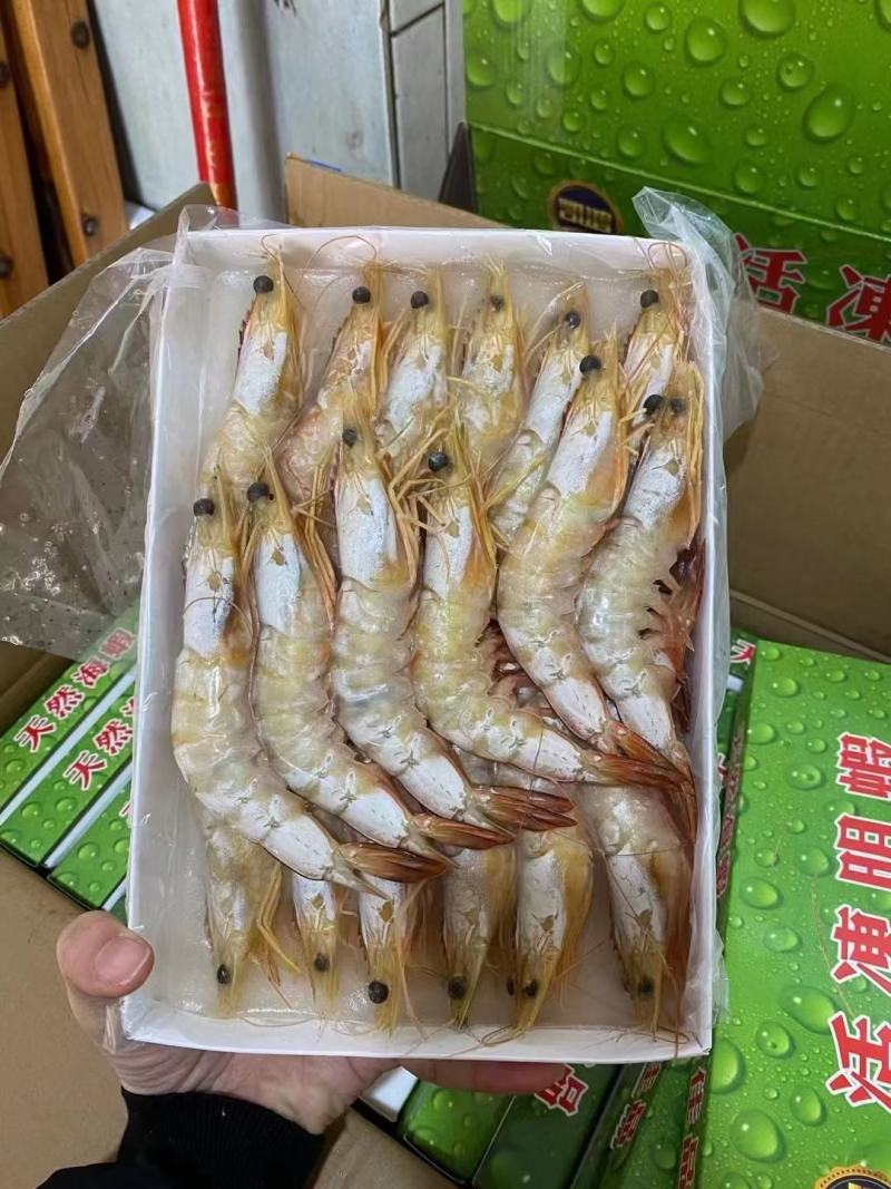 【推荐】广西北部湾天然明虾产地直发品质保证，诚信经营